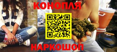 крисы Лесосибирск