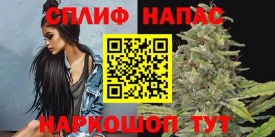 крисы Лесосибирск