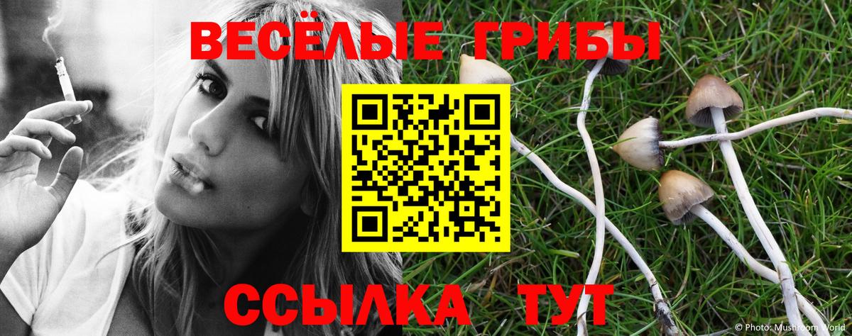Карачаевск  Галлюциногенные грибы мицелий  Псилоцибиновые грибы мицелий  Вход с VPN 