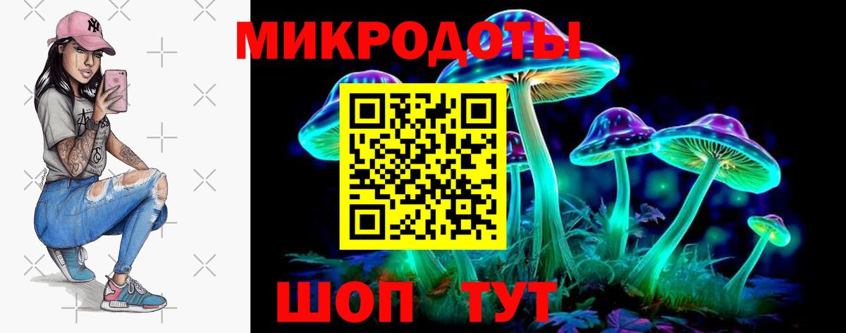 Галлюциногенные грибы прущие грибы Карачаевск